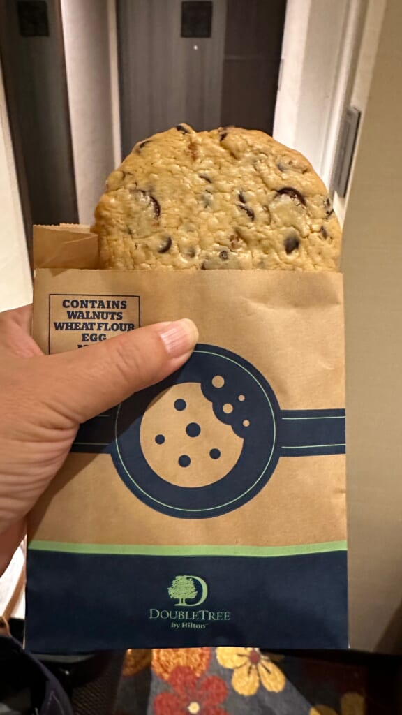 a hand holding a cookie in a paper bag