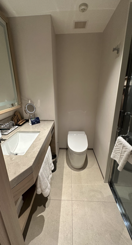 a bathroom with a sink and toilet